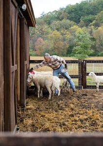 74es journées du Mouvement d’Action Rurale