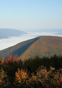 « Humus », une découverte