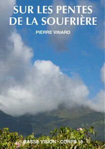 Sur les pentes de la Soufrière