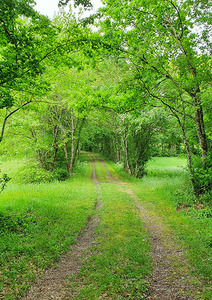 Écouter le monde et Dieu : Le son du silence