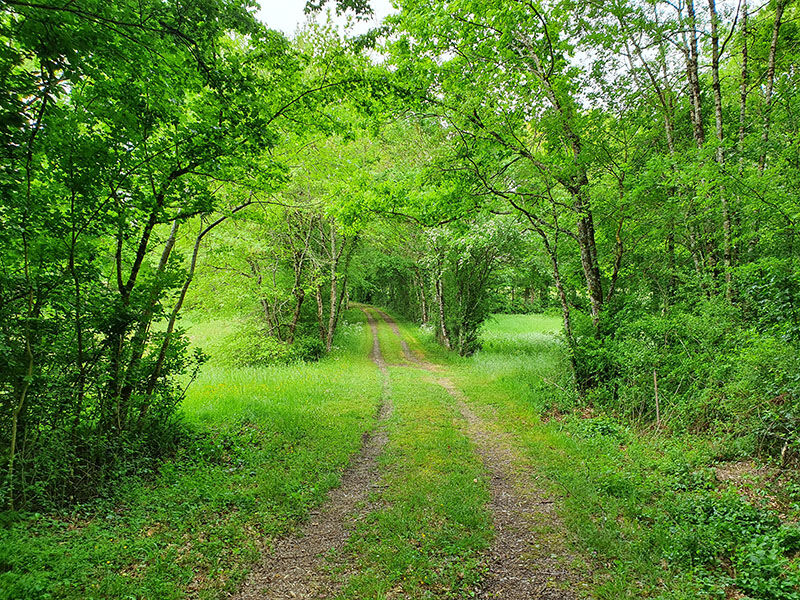 Écouter le monde et Dieu : Le son du silence
