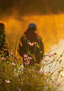 La notion d’amitié : un degré de plus que l’amour