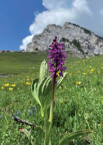Le temps d’une pause