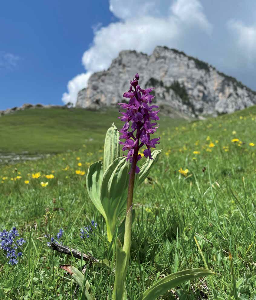 Le temps d’une pause