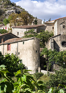 Entre témoignage et indépendance, une parole pour le monde