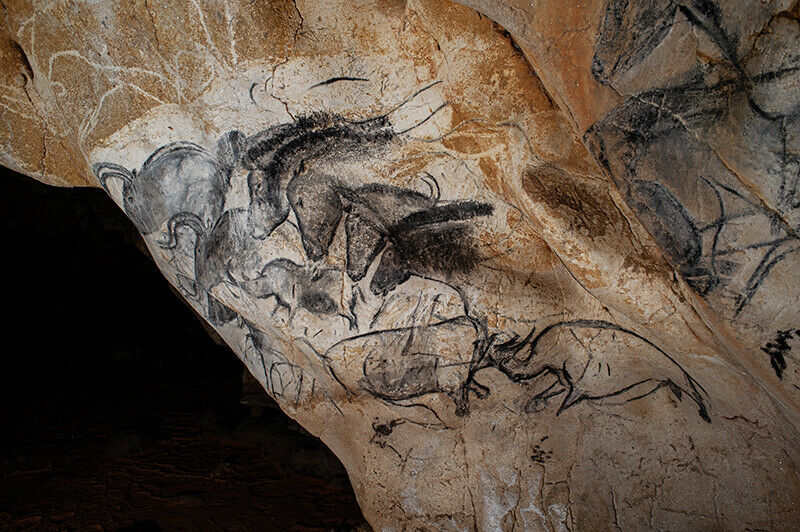 Vue du panneau «?des chevaux?», un exemple parmi le millier de dessins relevés dans la grotte Chauvet © C.?Fritz, CNRS/ministère de la Culture