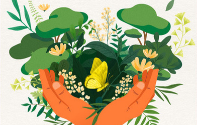 Terre nouvelle