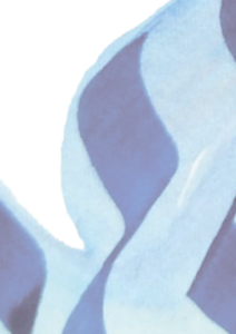 Israël-Palestine : Terre de conflit, terre de promesses