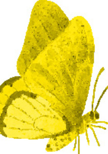 Le Christ : le Grand Vivant !