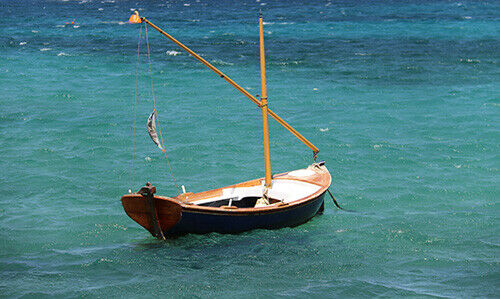 Après la pêche incroyable du matin, de nouveaux chemins s’ouvrent… © Shalev Cohen/Unsplash  Après la pêche incroyable du matin, de nouveaux chemins s’ouvrent… © Shalev Cohen/Unsplash