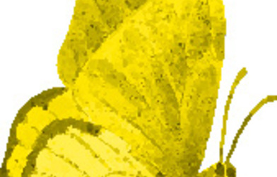 Un temps pour la Création toute l’année ?