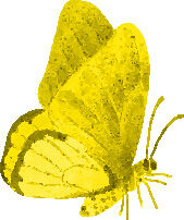 Un temps pour la Création toute l’année ?