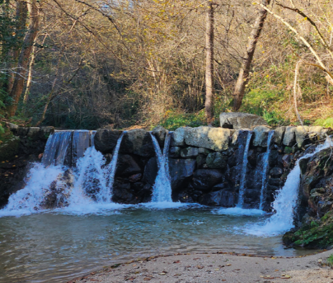 Des cascades dans une for&ecirc;t paisible
