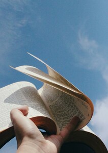 Bibliologue, qu'est-ce donc ?