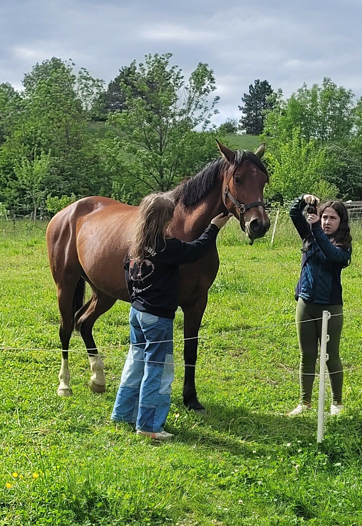 Au plus près de la nature et des animaux, comme ici à la ferme de l’OaDie Deux jeunes filles dans un pré prenant un cheval en photo