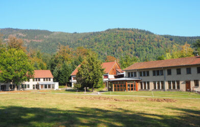 Le Torrent : une destination où la nature inspire et ressource.