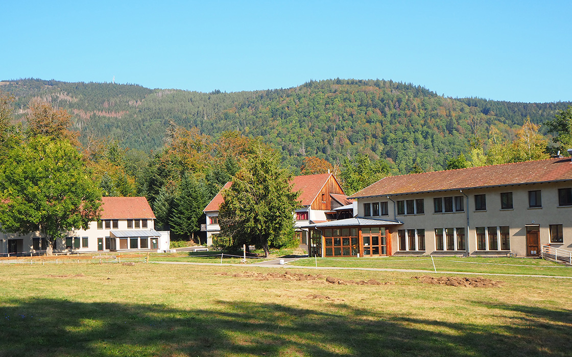 Le Torrent : une destination où la nature inspire et ressource.