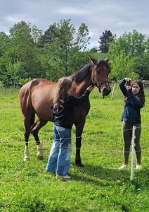 Week-end Bible et famille - une parenthèse en famille