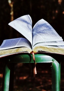 Progresser dans le bonheur