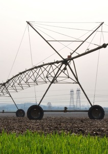 Démographie : Moins nombreux, plus heureux