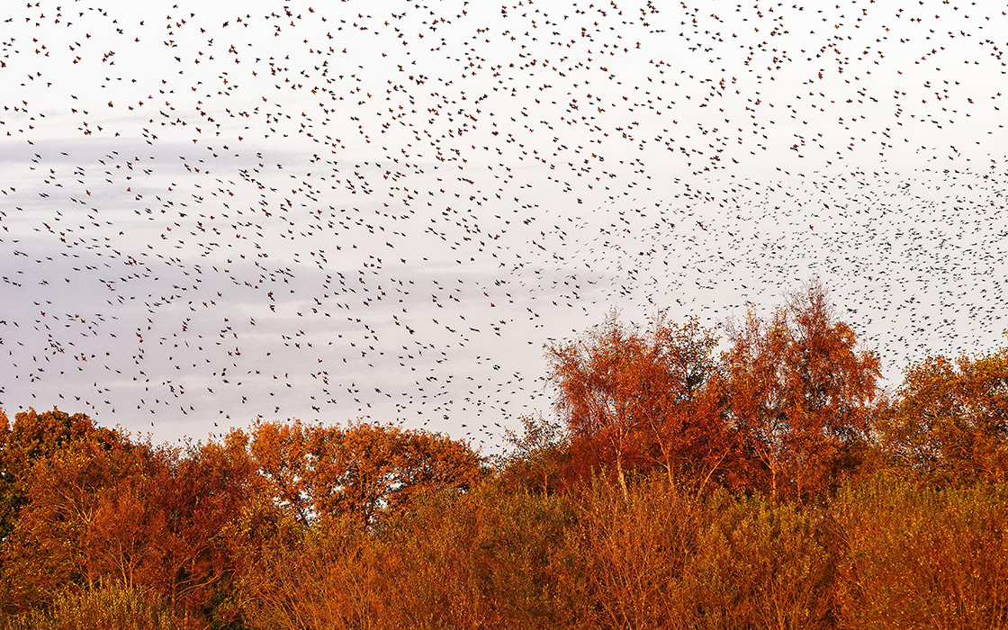Une Église pour la multitude