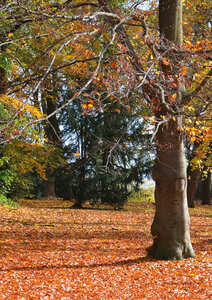 Quand Dieu patiente (Sagesse 11.23-12.2)