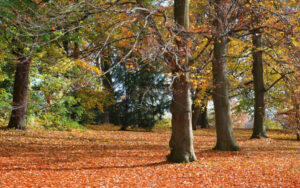 Quand Dieu patiente (Sagesse 11.23-12.2)