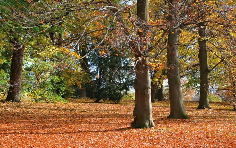 Sagesse 11.23-12.2 : Quand Dieu patiente