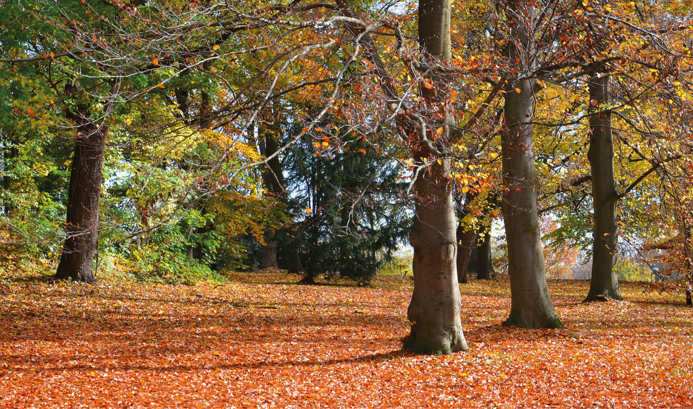 Sagesse 11.23-12.2 : Quand Dieu patiente