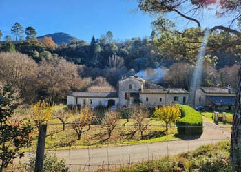 Les abeillères : une église protestante au cœur du vivant, en résonance avec le monde