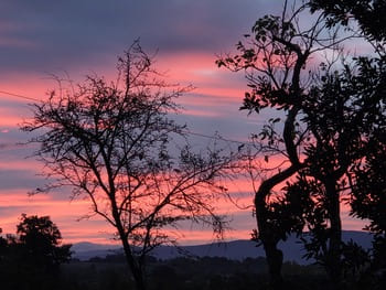 Louange de la Création
