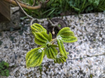 Arrêt sur parole : Église universelle – Église catholique