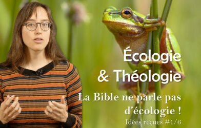 Écologie & théologie : idées reçues