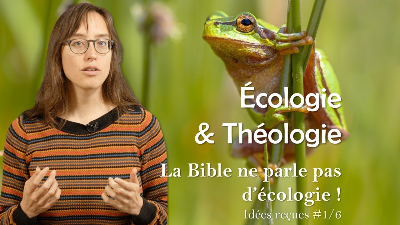 Écologie & théologie : idées reçues