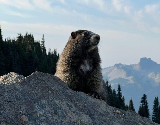 Prier avec et pour les trailers