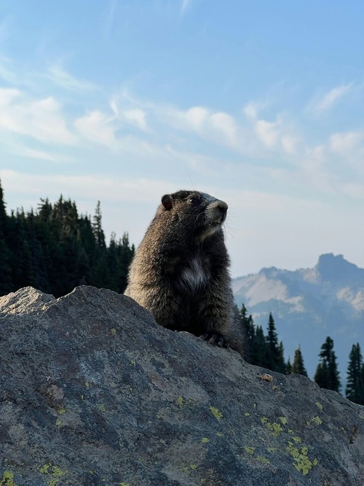 La montagne, un refuge à défendre