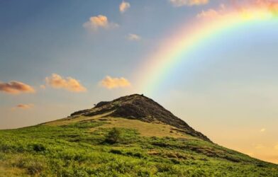 Gn 8, 20-22 : Un Dieu de patience