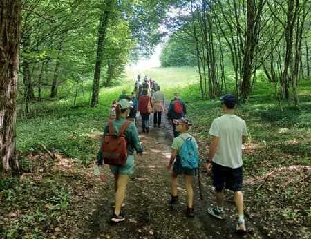 « Sais-tu que ? Chemin de merveilles » : des balades écospirituelles pour les familles
